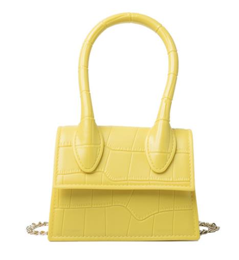 Mini Purse with Handle and Shoulder Chain