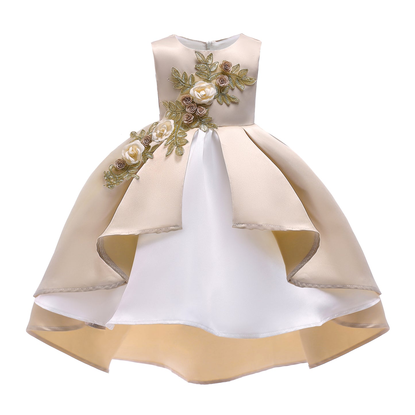 Girl's embroidered Princess style dress