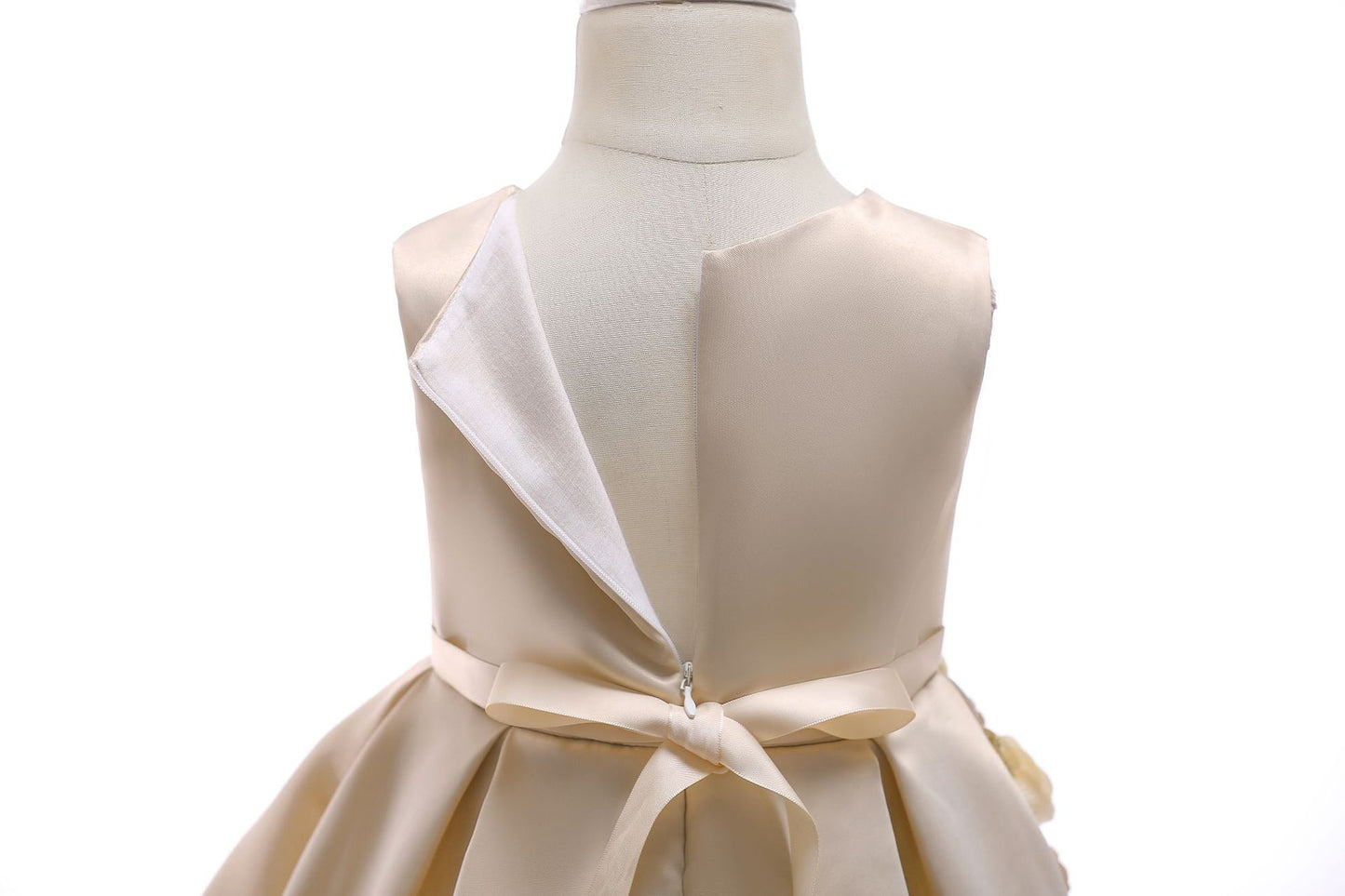 Girl's embroidered Princess style dress