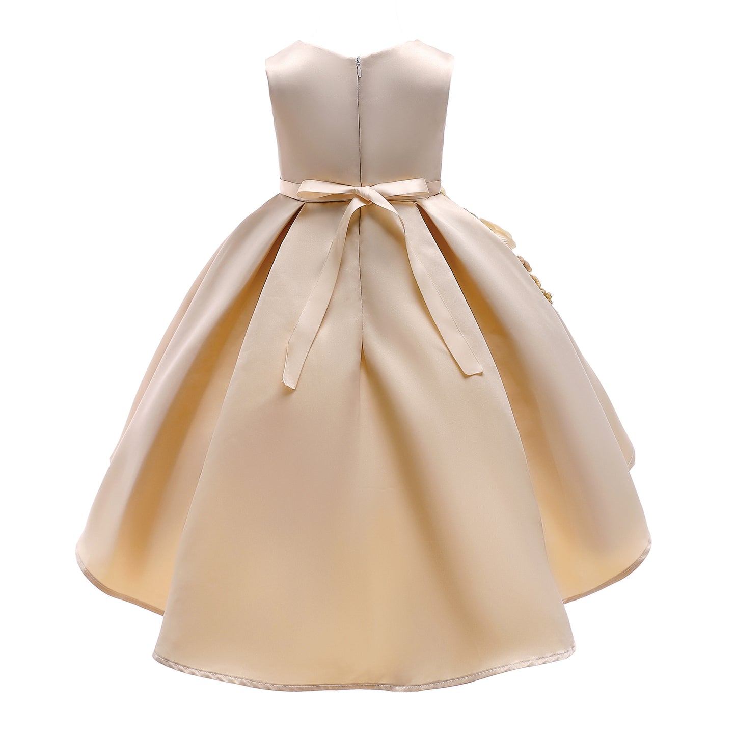 Girl's embroidered Princess style dress
