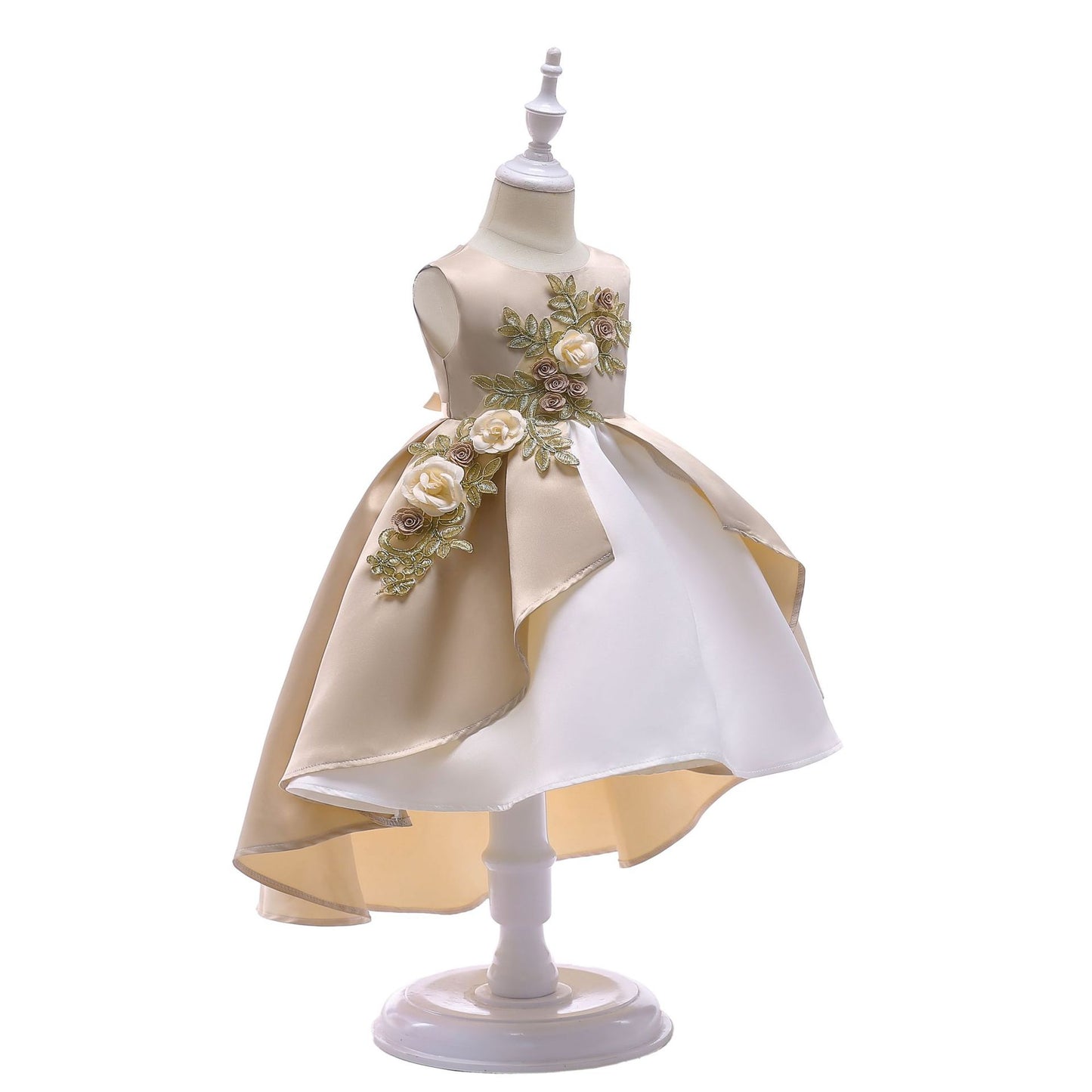 Girl's embroidered Princess style dress