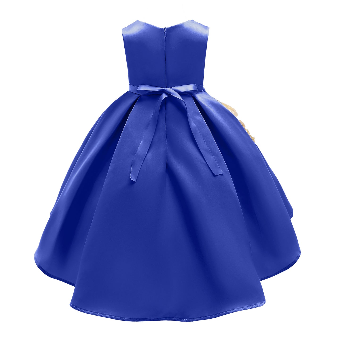 Girl's embroidered Princess style dress