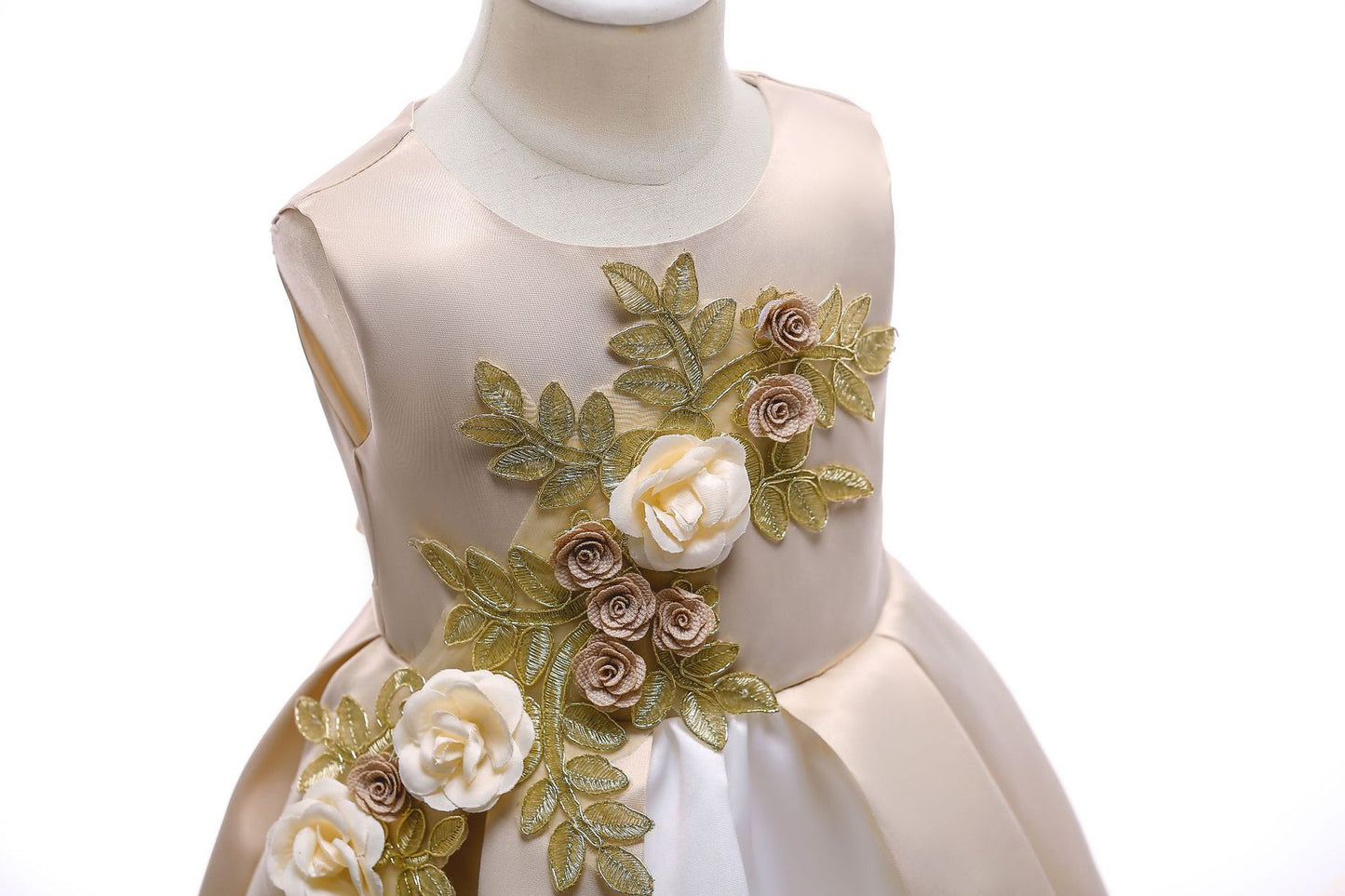 Girl's embroidered Princess style dress
